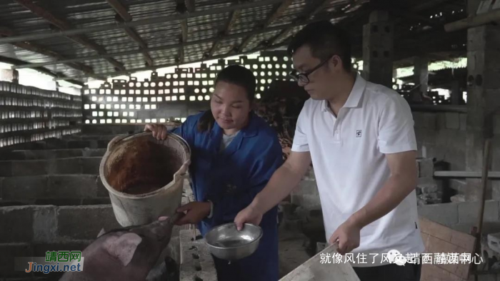 靖西：党史学习重在实践 这两个村党员带头振兴乡村 - 靖西网