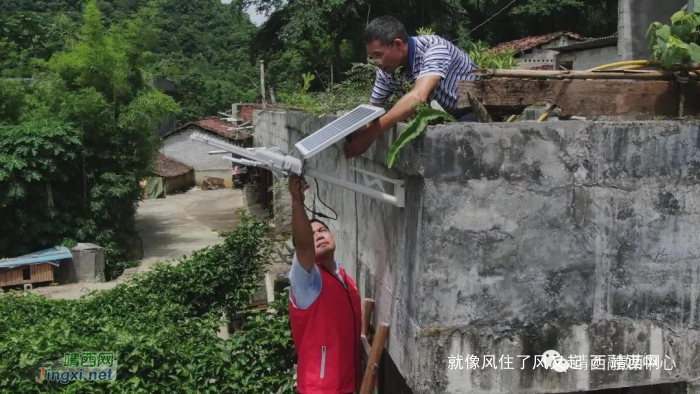 靖西：党史学习重在实践 这两个村党员带头振兴乡村 - 靖西网