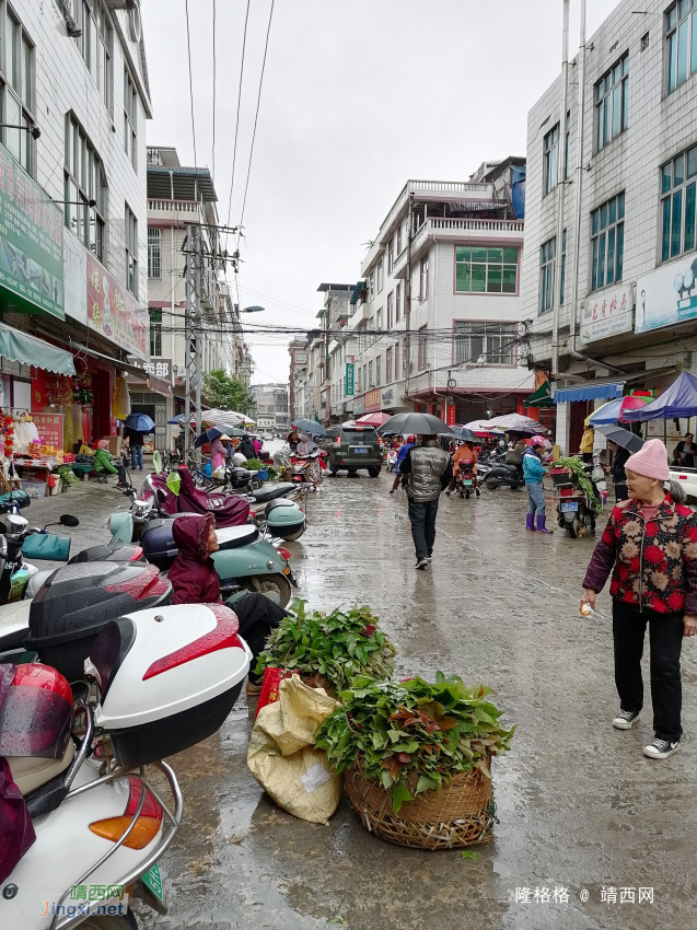 靖西城中小区，老奶奶冒雨提供糯米染料 - 靖西网