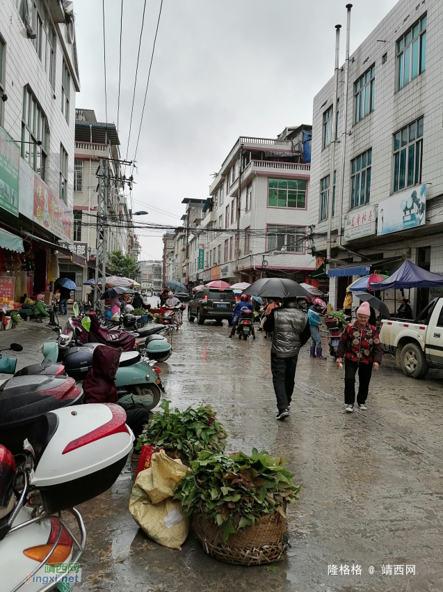 靖西城中小区，老奶奶冒雨提供糯米染料 - 靖西网