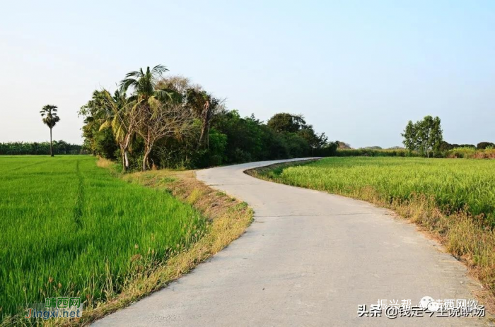 八卦 - 换届之年，乡镇领导干部面临何种道路？仕途何去何从？ - 靖西网