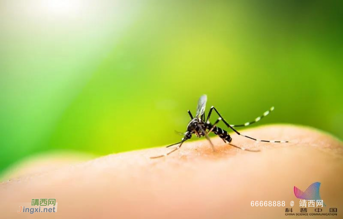 为什么蚊子永远不会被雨滴砸死？千万别被孩子问住了 - 靖西网