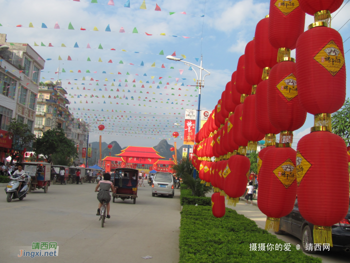 求助公凹，问两种中医草药的学名 - 靖西网