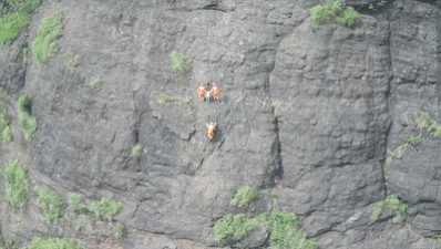 吓出一身冷汗！玉林4岁女孩与家人走失，搜救时竟发现她站在一处悬崖边上…… - 靖西网