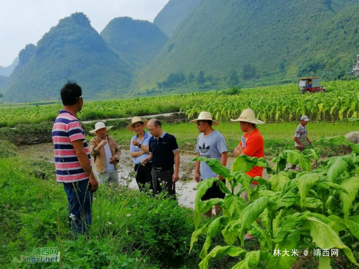 靖西市结合边境特色开展庆祝建党100周年活动 - 靖西网