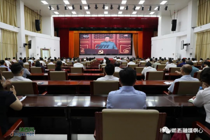 庆祝中国共产党成立100周年大会在靖西党员干部中引起强烈反响 - 靖西网