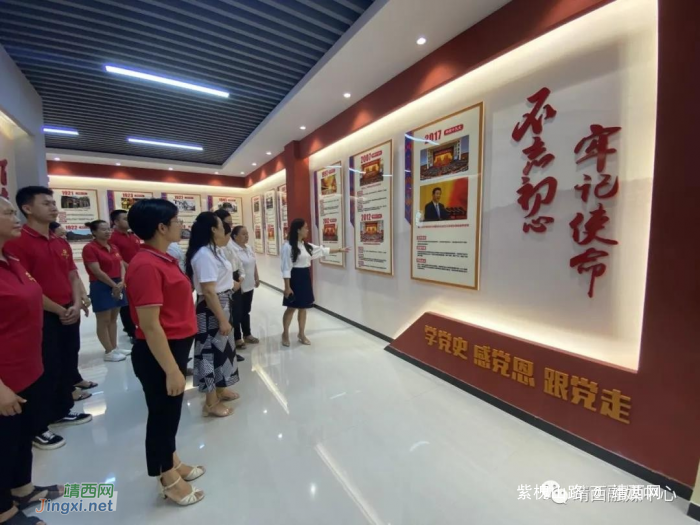 靖西市妇联开展庆祝中国共产党成立100周年系列活动 - 靖西网