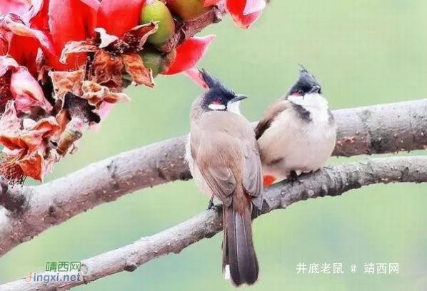 今日冬至，天冷了（致我牵挂的人） - 靖西网