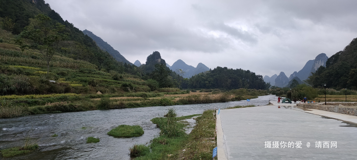 金鹅新路【漂流在建中】 - 靖西网