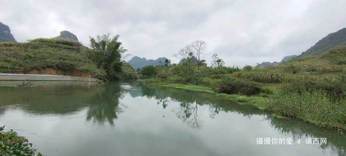 金鹅新路【漂流在建中】 - 靖西网