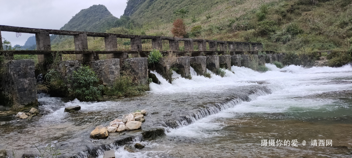 金鹅新路【漂流在建中】 - 靖西网