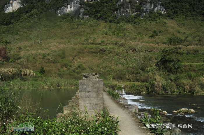 金鹅新路【漂流在建中】 - 靖西网