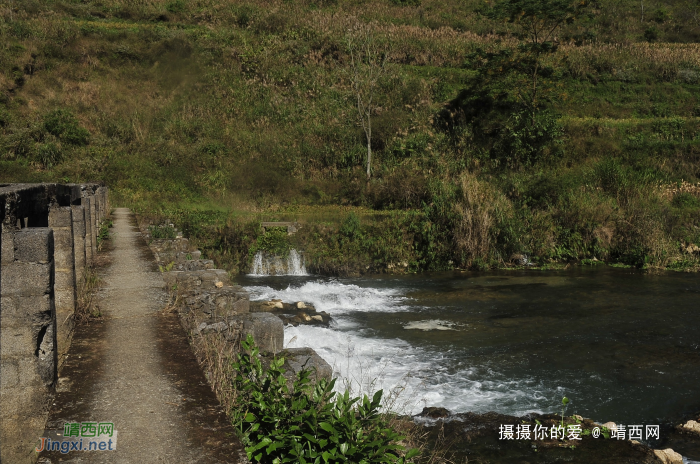 金鹅新路【漂流在建中】 - 靖西网