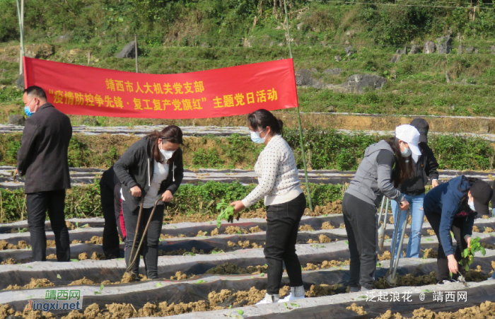 靖西市人大机关党支部开展“凝聚人大力量·助力复工复产”主题党日活动 - 靖西网