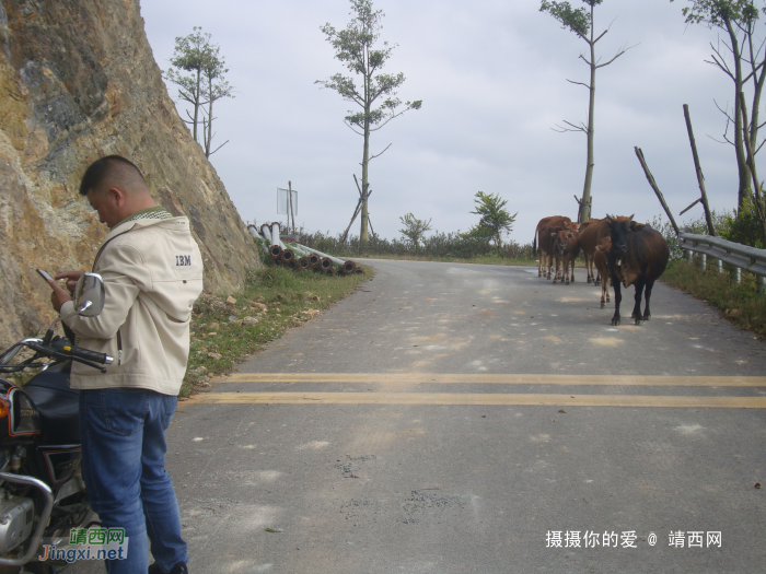 我们一起去牛头岭看风车吧 - 靖西网 - 第7页