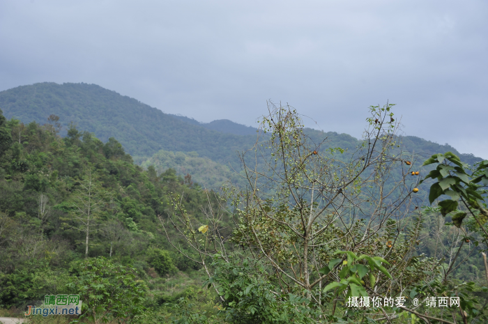 同德乌鸦山前传 - 靖西网 - 第2页