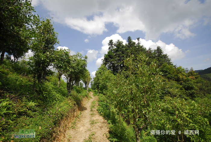 又是一年山岳山：恐怖的乌鸦山 - 靖西网