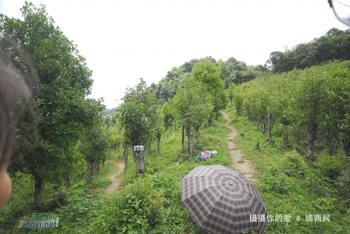 又是一年山岳山：恐怖的乌鸦山 - 靖西网