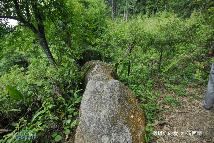 又是一年山岳山：恐怖的乌鸦山 - 靖西网 - 第6页