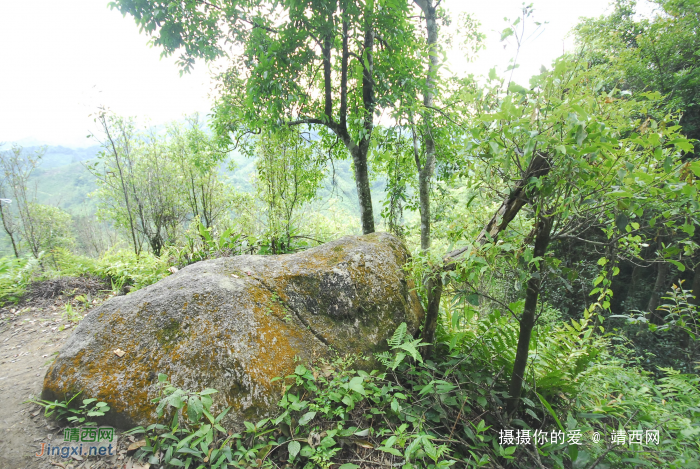 又是一年山岳山：恐怖的乌鸦山 - 靖西网 - 第6页