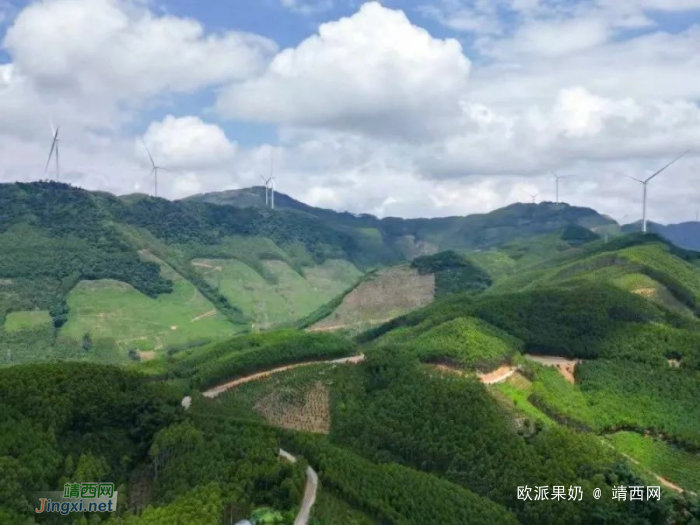 田东莲花山风电场并网发电 - 靖西网