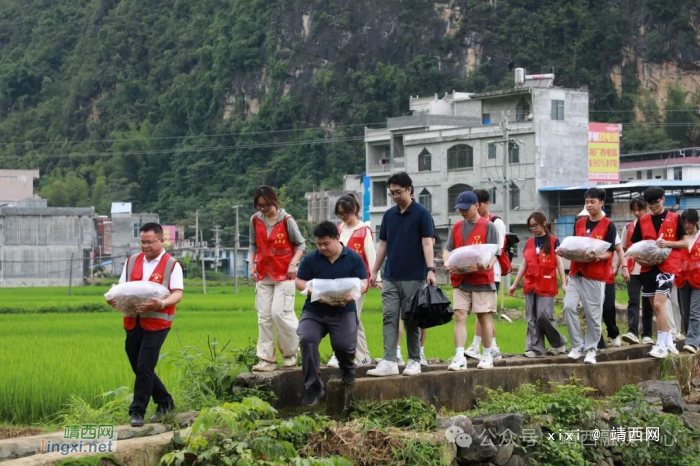 【乡村振兴】魁圩乡平巷村：探索一田多收新“稻”路 万尾鱼苗入秧田 - 靖西网