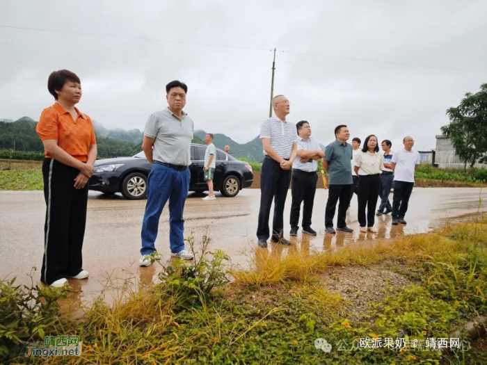 百色市人大常委会调研组到靖西市开展乡村振兴工作情况专题调研 - 靖西网