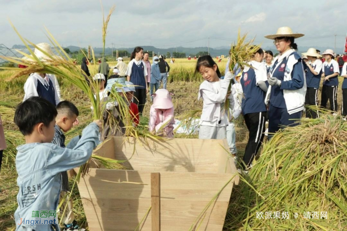 田东县第二幼儿园开展劳动实践活动 - 靖西网