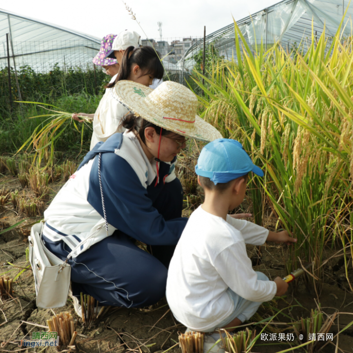 田东县第二幼儿园开展劳动实践活动 - 靖西网