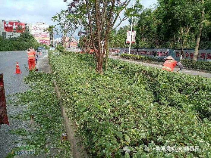 加强市政环卫园林管理 美化环广西自行车世界巡回赛德保赛段 - 靖西网