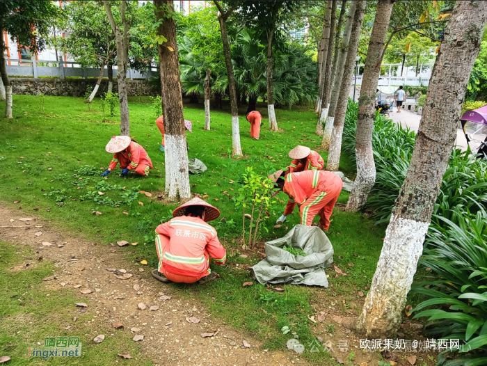 加强市政环卫园林管理 美化环广西自行车世界巡回赛德保赛段 - 靖西网