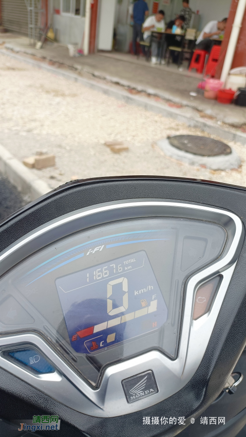 {靖西南坡}:底定林场初游记 - 靖西网 {靖西南坡}:底定林场初游记 - 靖西网