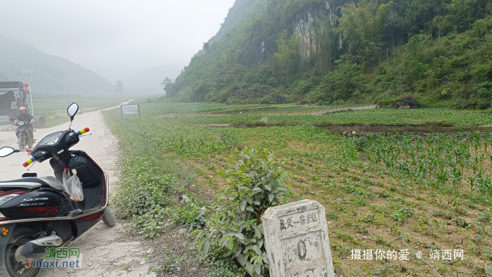 {靖西南坡}：底定林场初游记 - 靖西网