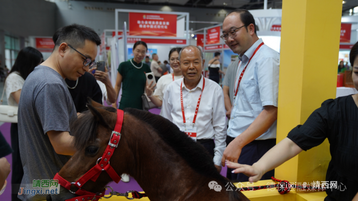 2024中国县域博览会在广州开幕!德保矮马惊艳亮相 - 靖西网