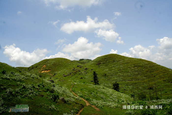 乌鸦山：补充 - 靖西网