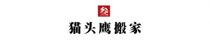 10个经典小故事,浅显易懂,寓意深刻! - 靖西网