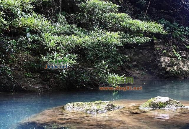 湖润镇古龙山峡谷群漂流景区 - 靖西市·靖西网