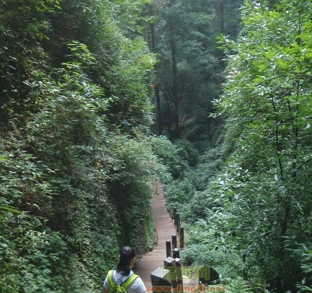 成都二日游，景点建设值靖西参考 - 靖西市·靖西网