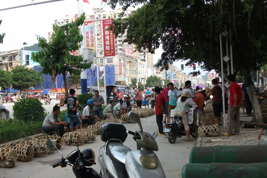 靖西凤凰一条街，鸡鸭交易最活跃 - 靖西市·靖西网