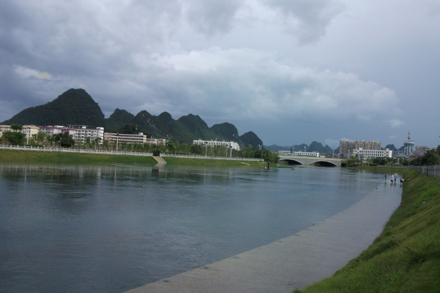 海鸥轰轰烈烈的来，搞得龙潭流了好多水，现在又悄悄的又走了 - 靖西市·靖西网