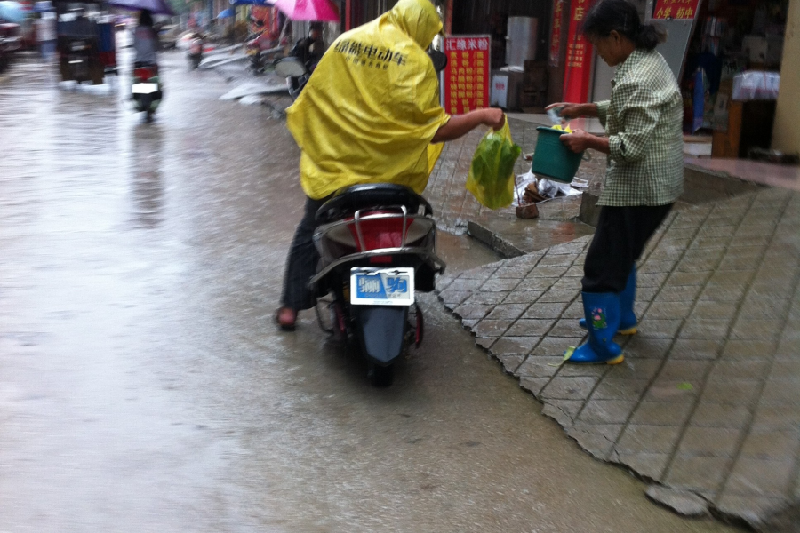 海鸥来到靖西，男的湿足，女的湿身，大家溅完一身 - 靖西市·靖西网