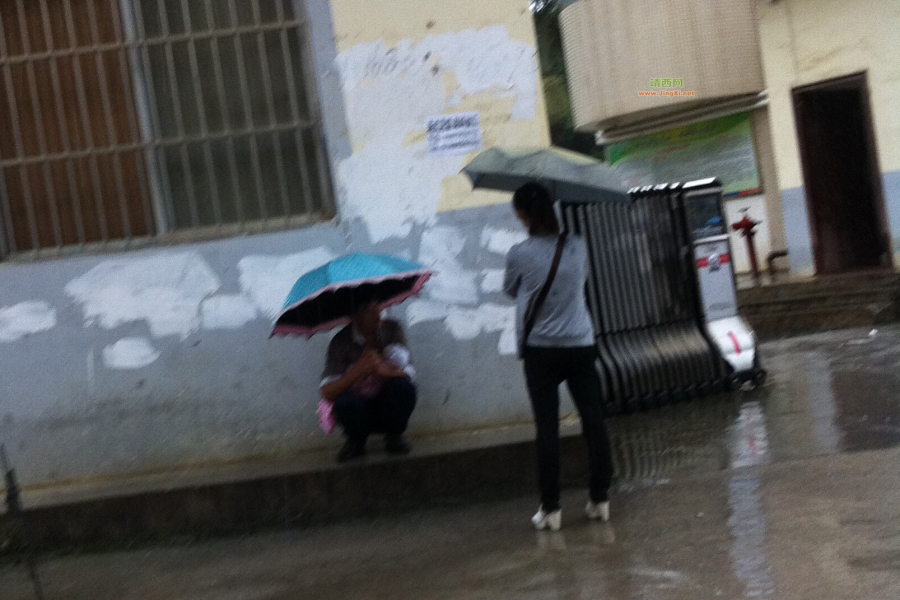 海鸥来到靖西，男的湿足，女的湿身，大家溅完一身 - 靖西市·靖西网