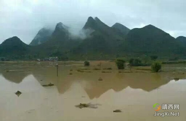 昨晚一场雨，今天老家又闹洪水了 - 靖西市·靖西网