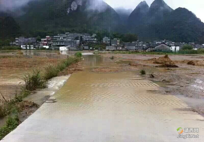 昨晚一场雨，今天老家又闹洪水了 - 靖西市·靖西网