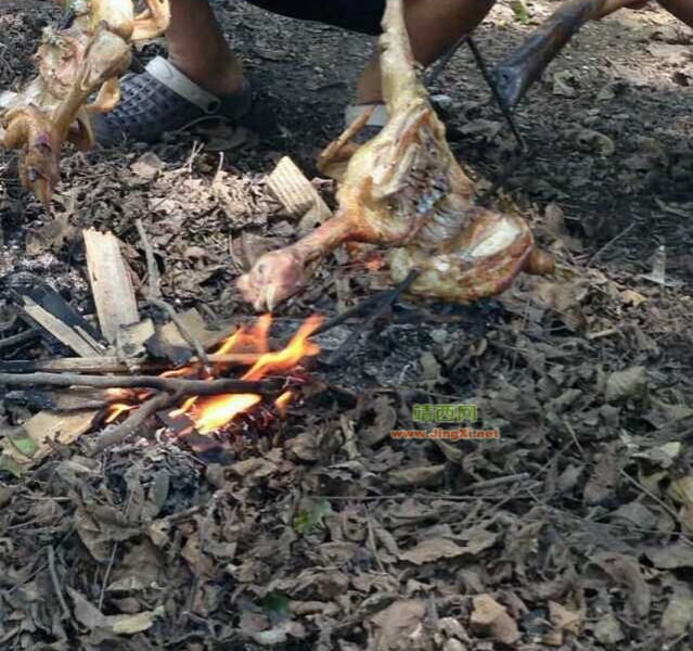 第一次吃双头鸡，美味加分 - 靖西市·靖西网