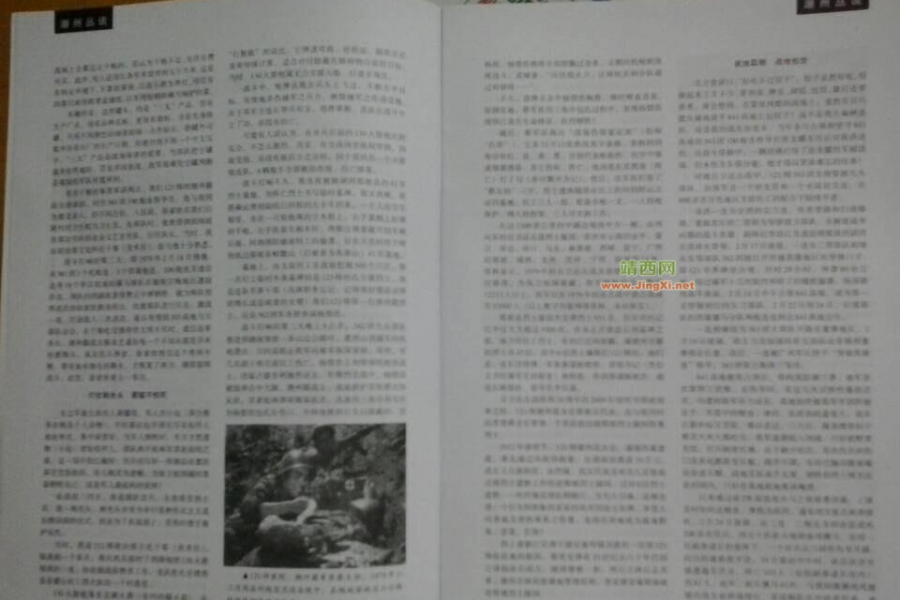 《越战花絮》8篇系列稿 - 靖西市·靖西网