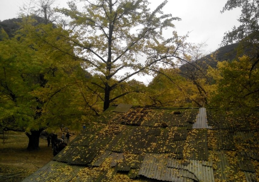 让我睡不着觉的场景 - 靖西市·靖西网