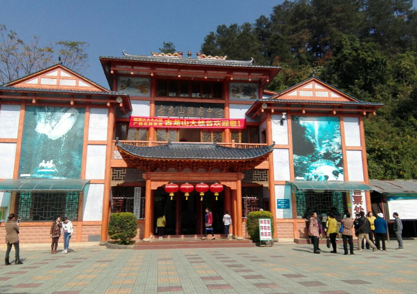 古龙山峡谷景区新开发一条冬季徒步游览线路 - 靖西市·靖西网