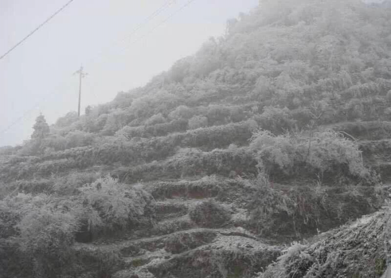 今天隆林下雪了，靖西冷吗 - 靖西市·靖西网