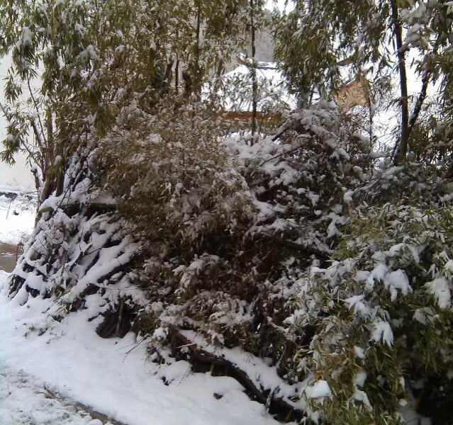 朋友天天喊下雪冷，特么我想说靖西热得要脱掉外套 - 靖西市·靖西网